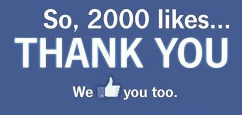 FB Like 2000+