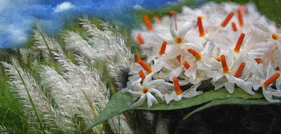 Durga Puja - A nostalgia that grasp's every Bong's emotions !!!!