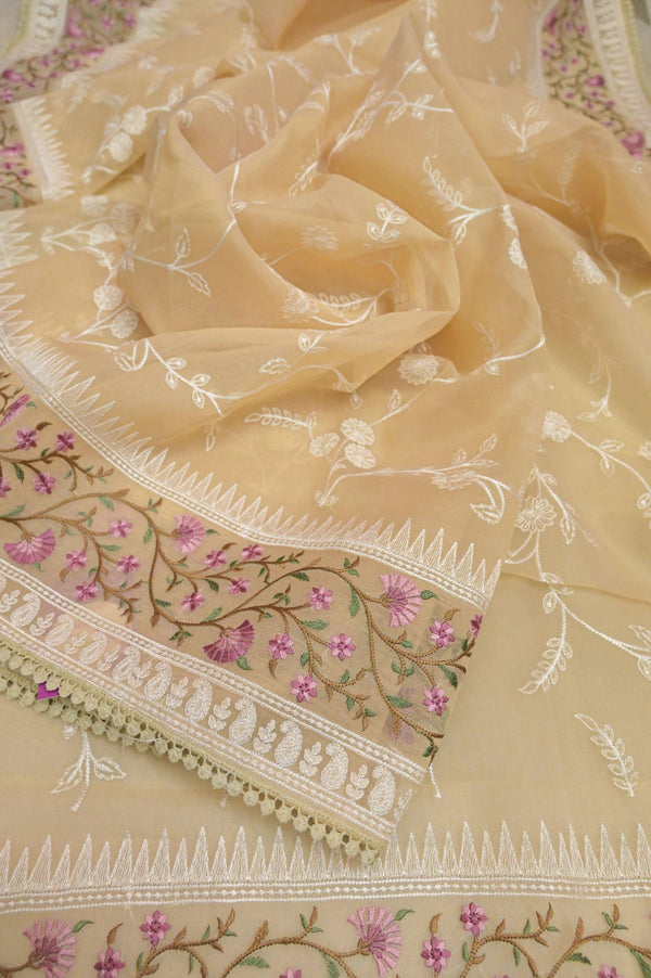 Light Cream Golden Color Organza with Allover Jaal Work with Embroidery and Lace Border